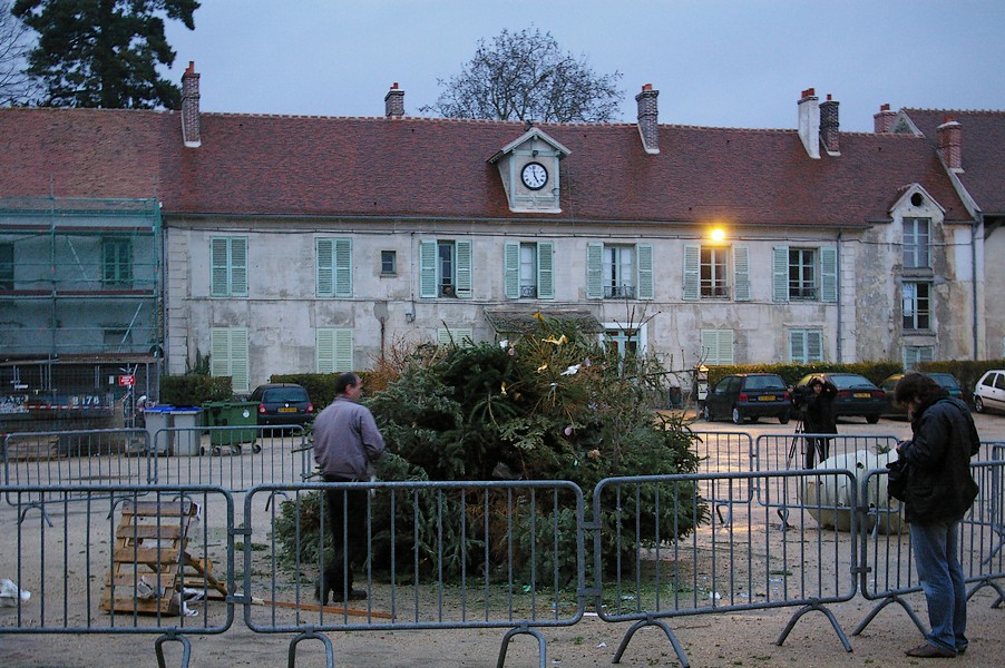 Sapins Galette et cidre: feu de joie sapins 024